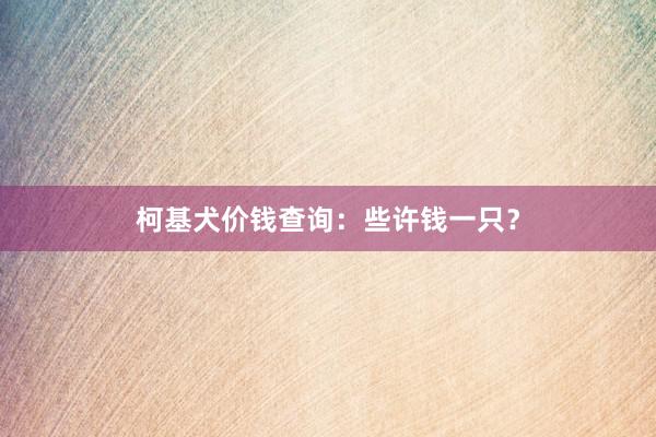 柯基犬价钱查询：些许钱一只？