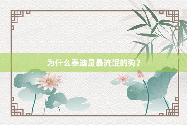 为什么泰迪是最流氓的狗？